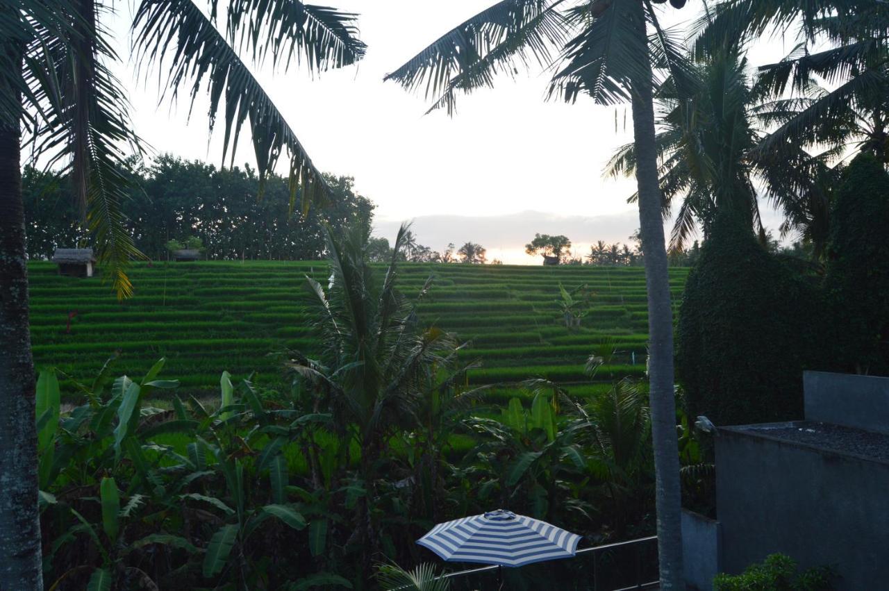 Serenity Private Villa Mas Ubud Luaran gambar