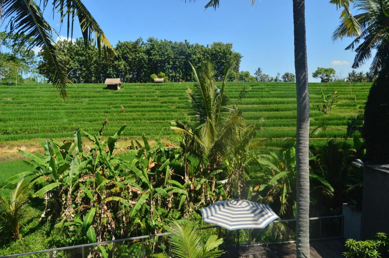 Serenity Private Villa Mas Ubud Luaran gambar